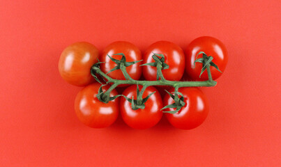 Red tomatoes on a branch on a red background. View from above