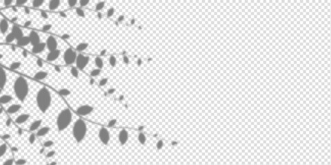 Shadow ivy and leaves mockup
