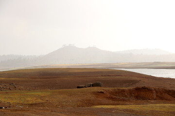 landscape view of river bank with dry land and hill on background from boat