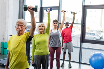 Group of interracial senior people exercising with dumbbells in sports center.