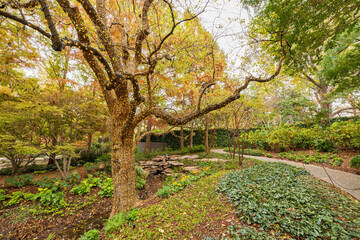Overcast view of the Dallas Arboretum and Botanical Garden