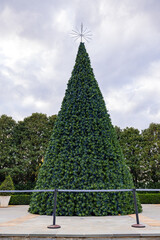 Overcast view of a Christmas tree in the Dallas Arboretum and Botanical Garden