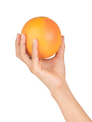Hand holding Grapefruit isolated on white background.
