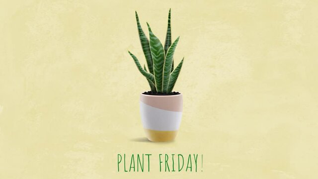 Plant Friday! for plant lovers, dealers, gardeners and for everyone. Buy plants on friday! Instead of Black Friday lets make Plant Friday! 