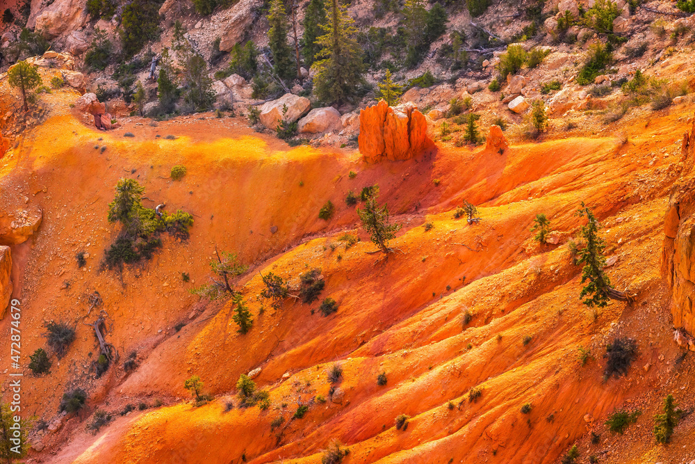 Canvas Prints Bryce Point, Bryce Canyon National Park, Utah.