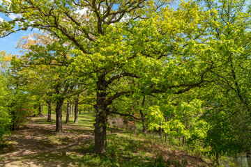 Big Creek Lake State Park in Polk County, Des Moines Iowa