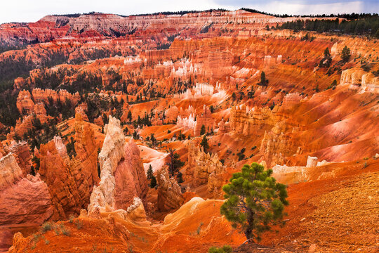 Amphitheater Hoodoos, Bryce Canyon National Park, Utah.