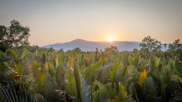 Cambodia