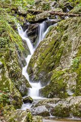 Fototapeta premium USA, Virginia, Shenandoah National Park, Dark Hollow Falls