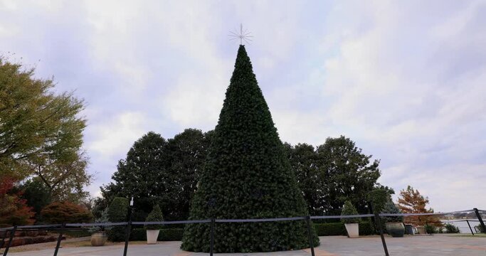 Overcast view of a Christmas tree in the Dallas Arboretum and Botanical Garden at Texas