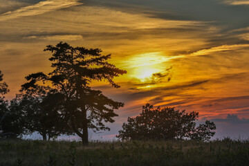 USA, Virginia, Shenandoah National Park, sunset at Rapidan Fire Road