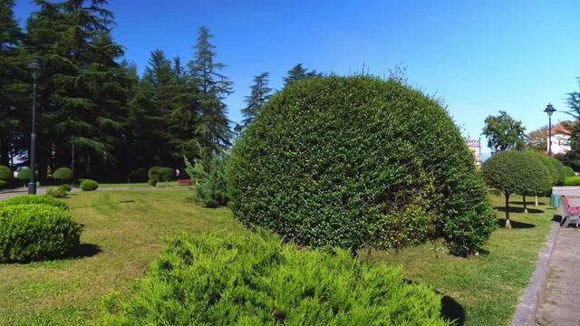 Beautiful trimmed miniature green trees in garden in the park. place is located in Georgia on the territory of the Dadiani Castle tourist resort. Zugdidi. park with beautiful landscapes and figures.