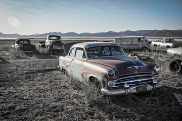 1954 Dodge - Beryl Junction Utah