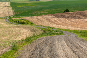 Winding rural road across rolling hills of the Palouse, eastern Washington.