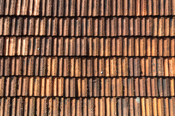 Roof tiles texture