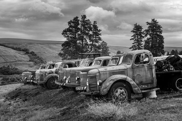 View of old trucks, Palouse region of eastern Washington.