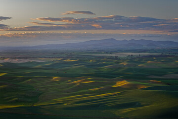 Expansive sunrise view of endless rolling hills of crops in the Palouse, from elevated position, Steptoe Butte State Park, Washington State