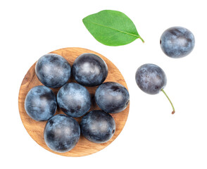 Blackthorn fruits isolated on a white background, top view