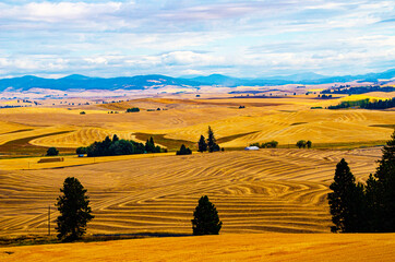 USA, Washington State, The Palouse from Kamiak Butte