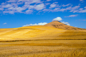 Fototapeta na wymiar USA, Washington State, The Palouse, Steptoe Butte