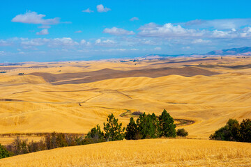 Fototapeta na wymiar USA, Washington State, The Palouse, patterned wheat fields from Steptoe Butte
