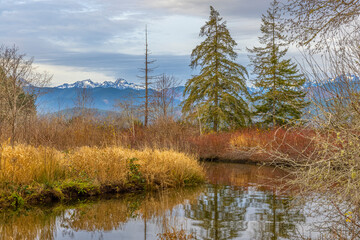 USA, Washington State, Dewatto. Autumn reflections in Anderson Creek.