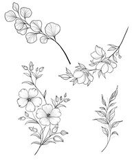 Hand drawn branch of sakura with blooms, flowers, leaves, petals. Modern line art style. Botanical composition for card, invitation, logo, fabric print.
