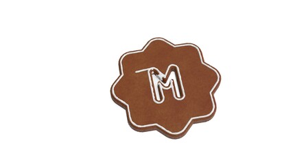 3d rendering of gingerbread symbol of manual camera isolated on white background