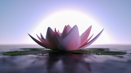 Naklejka na ściany i meble background with a pink lotus flower (3d rendering)