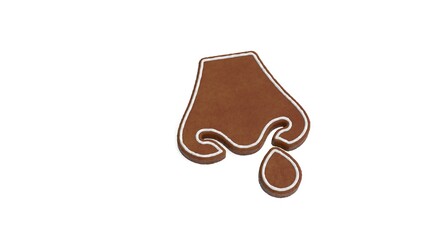 3d rendering of gingerbread symbol of nose isolated on white background