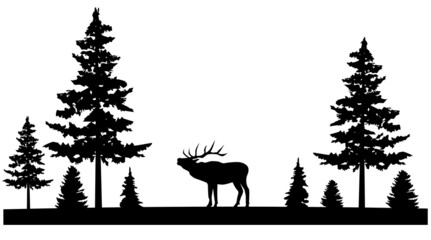 vector deer in the forest