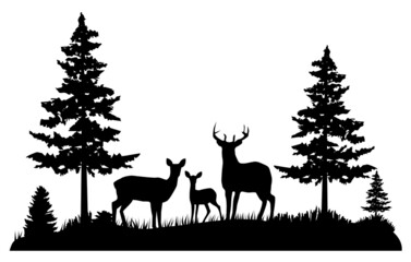 forest deer family