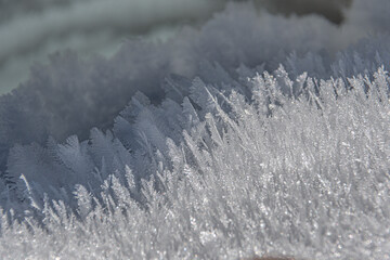 feather shaped ice crystals - Frisco - Colorado - USA - obrazy, fototapety, plakaty
