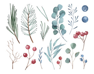 Vector watercolor branches set with berries and conifer leaves. Hand drawn Christmas isolated elements on white background. Design illustration. For New year cards, greeting cards, graphic, poster