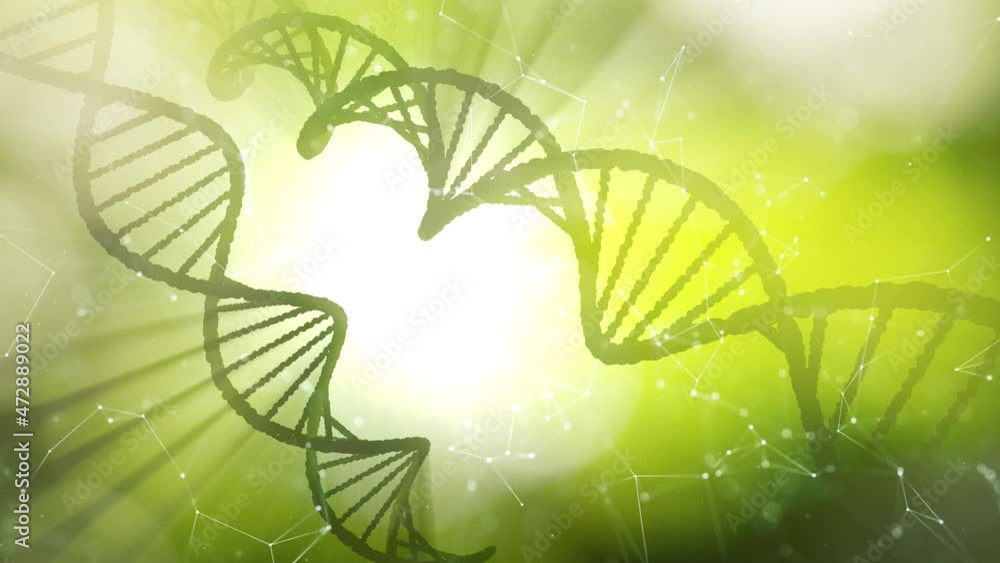 Poster dna chains rotating on shining green nature science animation background.