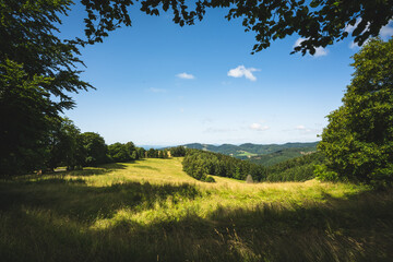 Fototapeta na wymiar Blick auf Buchborn bei Floh-Seligenthal im Thüringer Wald im Sommer