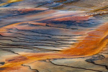 Pattern in bacterial mat of Grand Prismatic spring, Midway Geyser Basin, Yellowstone National Park, Wyoming