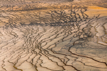 Pattern in bacterial mat of Grand Prismatic spring, Midway Geyser Basin, Yellowstone National Park, Wyoming