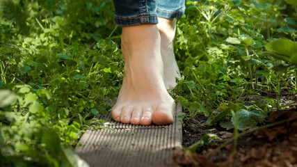 Closeup of bare female feet walking on wooden board through dense grass in garden. Concept of freedom. loving nature and recreation