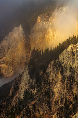 Morning mist in the canyon from Artist Point, Grand Canyon of Yellowstone, Yellowstone National Park, Wyoming