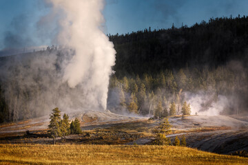 Steaming geyser at first light, Upper Geyser Basin, Yellowstone National Park, Wyoming