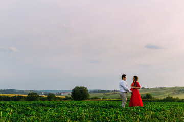husband and his pregnant wife are walking at sunset in field on the outside. theme romantic pregnancy outdoors.