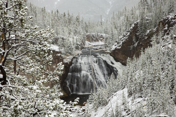 Snow covered Gibbon Falls, Yellowstone National Park, Wyoming