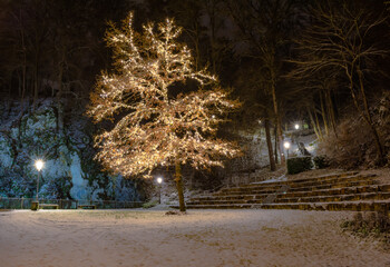 Wonderful illuminated tree in the park at winter in Königsbronn