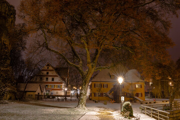 snow covered tree at night in Königsbronn 