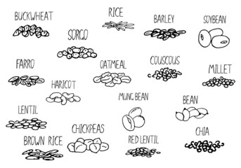 Vector hand drawn set of cereals, beans with their names. Black and white illustration for store decoration, grocery shop concept. Illustration can be used for sold by weight food - obrazy, fototapety, plakaty