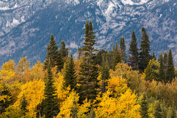 Autumn sunrise view of Teton Range, Grand Teton National Park, Wyoming