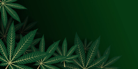 Cannabis leaves are composed in a layout with empty space in the top corner for titles or headlines. Marihuana, Sativa, and Indica leaf over each other with depth perspective. Use as a header, banner 