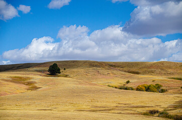 Obraz premium USA, Wyoming, Beulah pastoral scenic
