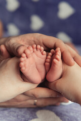 Mother and father holding feet of newborn twins. Loving family. Selective focus. Film grain.
